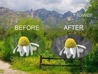 BEFORE   AFTER
 