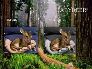 BEFORE   AFTER
 
