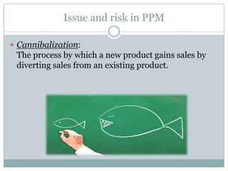 Product Portfolio Management | PPTX
