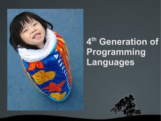 Domain Specific Languages