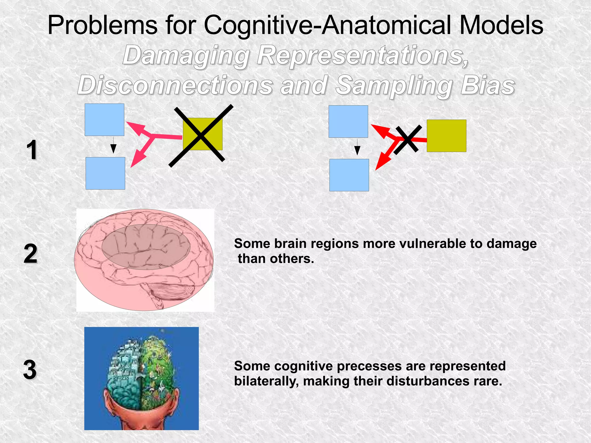 Problems for Cognitive-Anatomical Models Damaging Representations, Disconnections and Sampling Bias 1 2 Some brain regions more vulnerable to damage  than others. 3 Some cognitive precesses are represented bilaterally, making their disturbances rare. 
