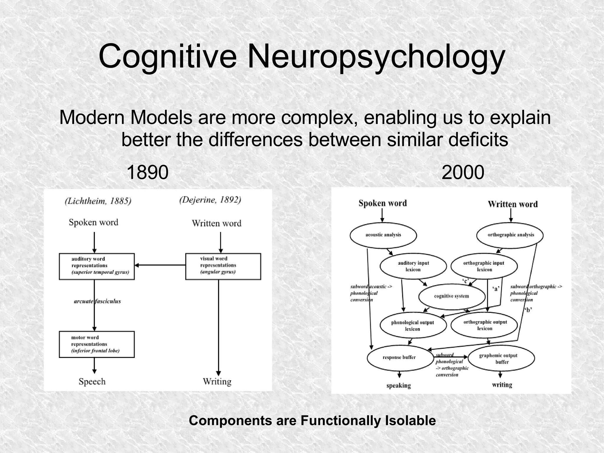 Cognitive Neuropsychology Modern Models are more complex, enabling us to explain better the differences between similar deficits 1890 2000 Components are Functionally Isolable 