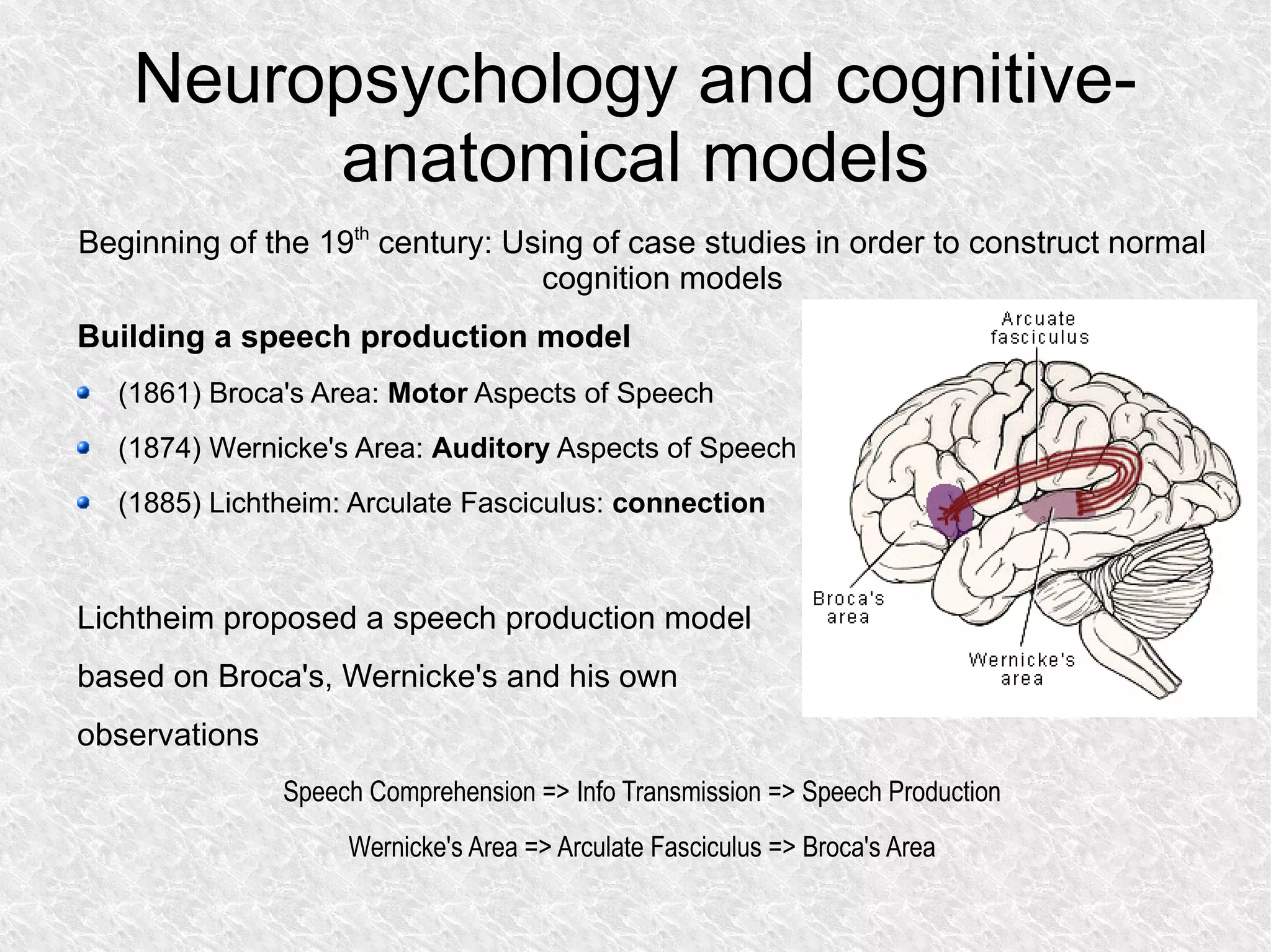 Neuropsychology and cognitive-anatomical models Beginning of the 19 th  century: Using of case studies in order to construct normal cognition models Building a speech production model (1861) Broca's Area:  Motor  Aspects of Speech (1874) Wernicke's Area:  Auditory  Aspects of Speech (1885) Lichtheim: Arculate Fasciculus:  connection Lichtheim proposed a speech production model based on Broca's, Wernicke's and his own observations Speech Comprehension => Info Transmission => Speech Production Wernicke's Area => Arculate Fasciculus => Broca's Area 