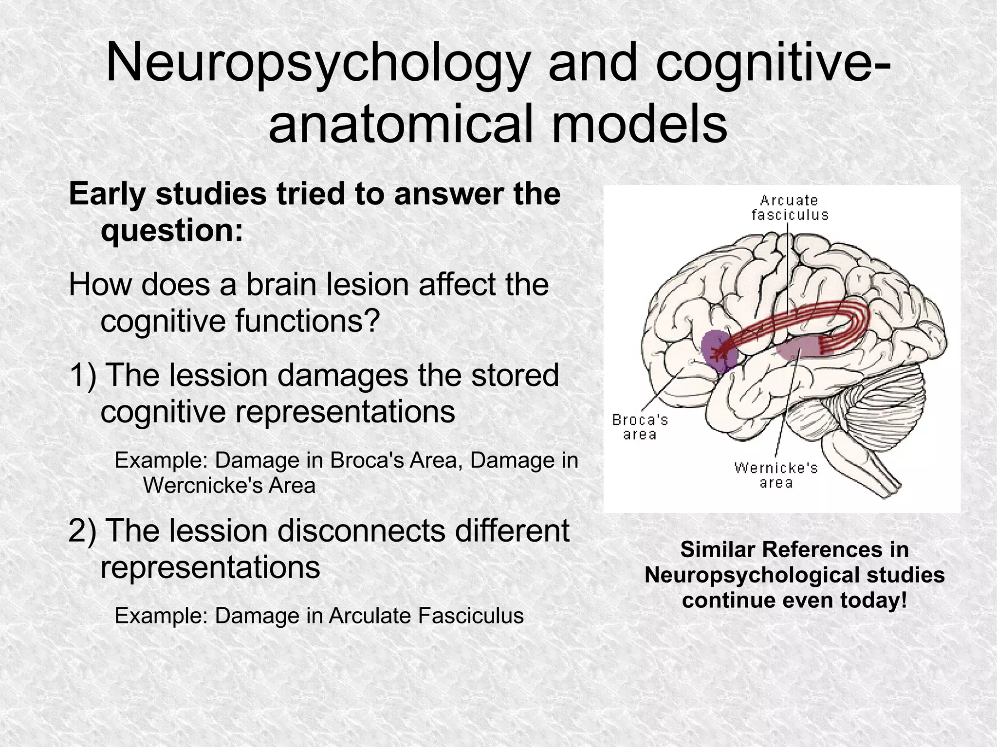 Neuropsychology and cognitive-anatomical models Early studies tried to answer the question: How does a brain lesion affect the cognitive functions? 1) The lession damages the stored cognitive representations Example: Damage in Broca's Area, Damage in Wercnicke's Area 2) The lession disconnects different representations Example: Damage in Arculate Fasciculus Similar References in Neuropsychological studies continue even today! 