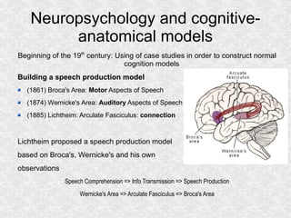 Neuropsychology and cognitive-anatomical models <ul><li>Beginning of the 19 th  century: Using of case studies in order to...