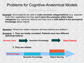 Problems for Cognitive-Anatomical Models <ul><li>Interactive effects </li></ul><ul><li>Example : Some patients are able to...