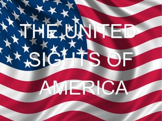 THE UNITED  SIGHTS OF AMERICA 