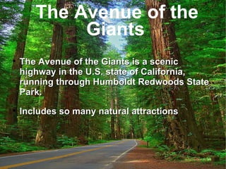 The Avenue of the Giants The Avenue of the Giants is a scenic highway in the U.S. state of California, running through Humboldt Redwoods State Park. Includes so many natural attractions   