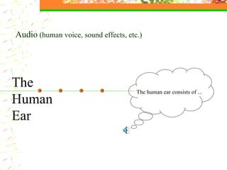 The  Human Ear Audio  (human voice, sound effects, etc.) The human ear consists of ... 