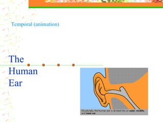 The  Human Ear Temporal (animation) 