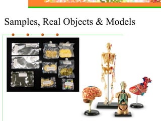 Samples, Real Objects & Models 