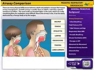 Authoring Tools Instructional   ToolBook Instructor 