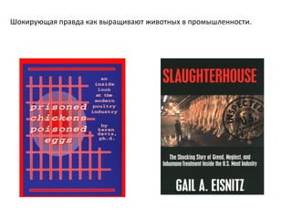 Шокирующая правда как выращивают животных в промышленности. 