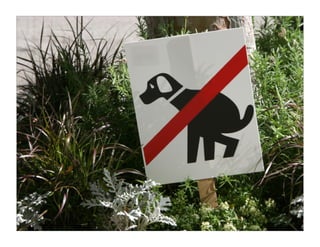 Everything I Wish I Knew About Running a Design Studio