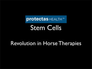 Stem Cells

Revolution in Horse Therapies
 