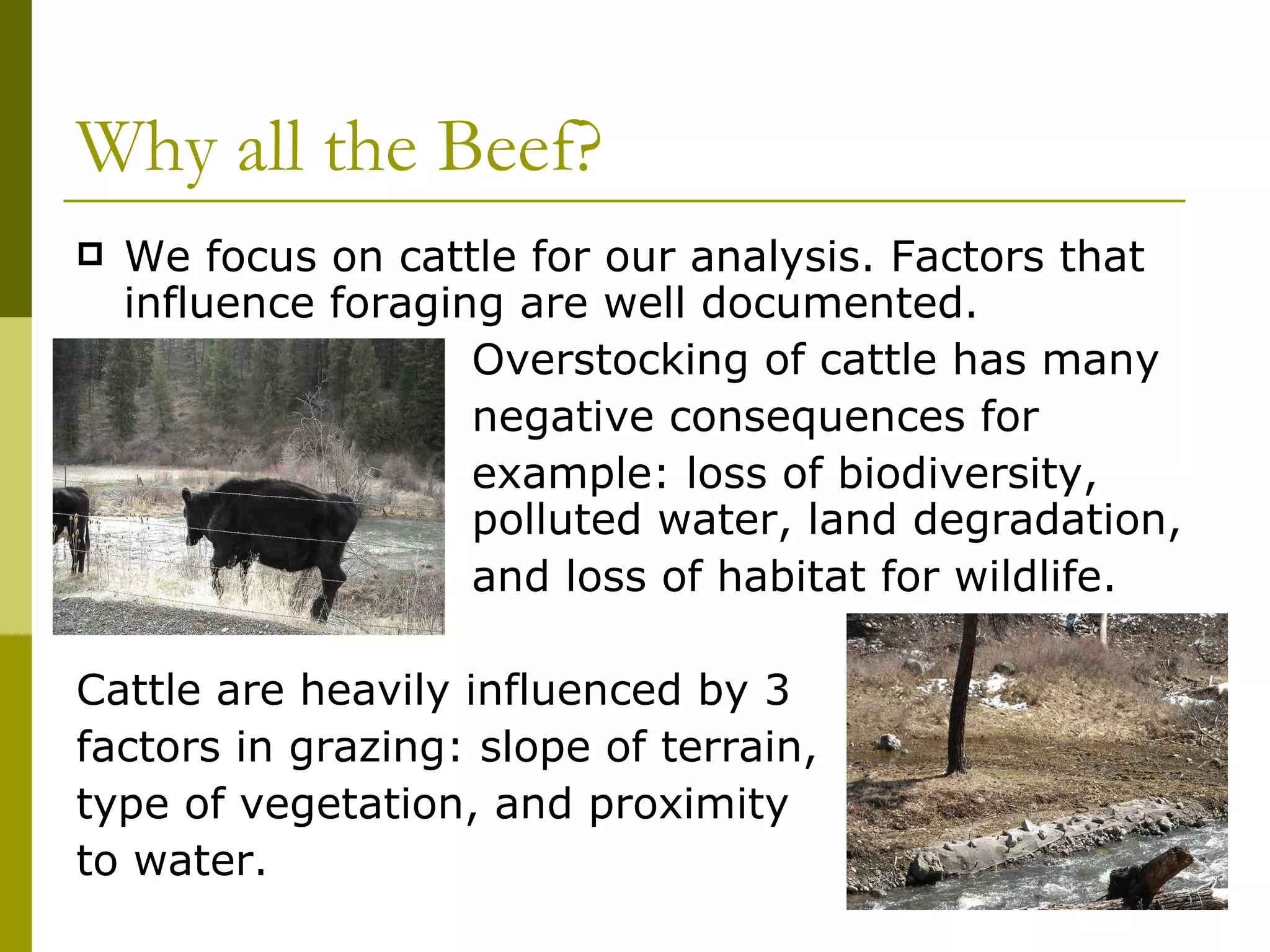 Why all the Beef? We focus on cattle for our analysis. Factors that influence foraging are well documented.   Overstocking of cattle has many    negative consequences for    example: loss of biodiversity,   polluted water, land degradation,   and loss of habitat for wildlife. Cattle are heavily influenced by 3 factors in grazing: slope of terrain, type of vegetation, and proximity  to water. 