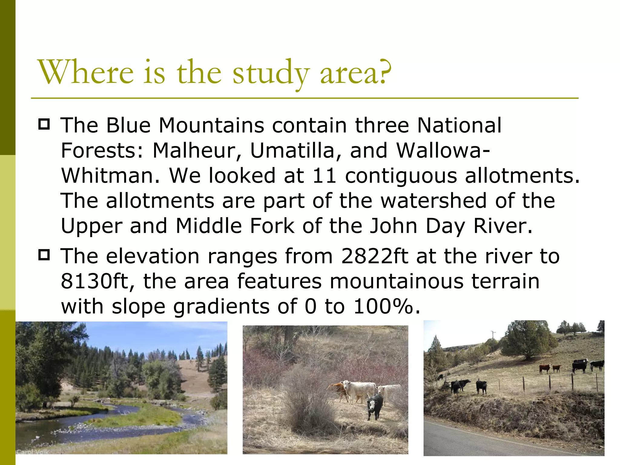 Where is the study area? The Blue Mountains contain three National Forests: Malheur, Umatilla, and Wallowa-Whitman. We looked at 11 contiguous allotments. The allotments are part of the watershed of the Upper and Middle Fork of the John Day River.  The elevation ranges from 2822ft at the river to 8130ft, the area features mountainous terrain with slope gradients of 0 to 100%. 