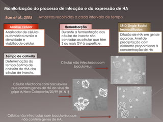  Promove a aglutinação de glóbulos vermelhos às células a que se liga por reconhecimento do ácido siálico