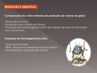 Motivação e objectivosComparação dos vários métodos de produção de vacinas da gripe:Produção em ovos