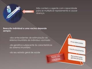 Produção de hematoglutinina (HA) em células de insecto infectadas com baculovírus.Produção de hematoglutininas (HA):DNA recombinado