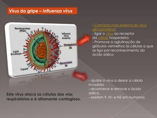 BEVS – Baculovirusexpression vector systems