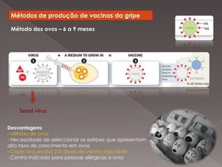 Monitorização da produção de rHAPrincípio base da vacinaçãoReconhecida porsubstânciaderivada, ouquimicamentesemelhante, a um agenteinfeccioso particular causador de doençaSistema imunitárioreagecomo se tivesserealmentesidoinfectadopeloagente1ª vez  - lenta e inespecífica, memorização 2ª vez – rápida e específica