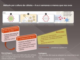 Nãocontem o agente com capacidadepara se multiplicarrapidamente e causardoença, Reacçãoindividual a umavacinadependesempre:dos antecedentes de estimulação do sistemaimunitário do indivíduovacinado