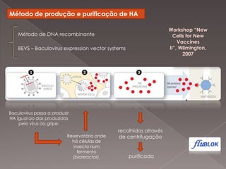 dagenéticasubjacenteàscaracterísticas do sistemaimunitário