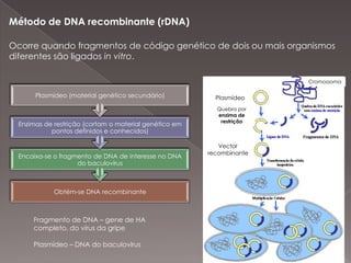 do seuestadogeral de saúdeTipos de vacinas