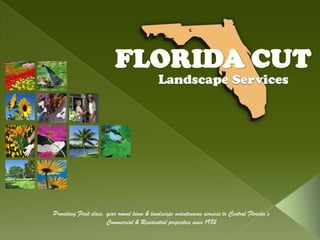 Providing First class, year round lawn & landscape maintenance services to Central Florida’s
                       Commercial & Residential properties since 1982
 