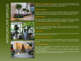 Florida Cut Landscape Services can provide luxurious plant displays of all
sizes, types, quantities and locations. We offer both purchase & lease
programs based on your budget and requirements.

Bowls and Planters
Enhance and brighten up a space with stylish plants or arrangements of
flowers using real or artificial exotic blooms. Tabletop bowls and floor
standing planters can be supplied in your favorite / corporate colors
Artificial Displays
We can create an artificial tropical scene using palm trees from 1meter
to 8 meters high or create seasonal flower displays. All artificial plants
are of the highest quality and maintenance is kept to a minimum
Hanging baskets, Window Boxes and Tubs
You can choose between baskets, hayricks, window boxes and tubs for
a full colorful display. We can also install automatic watering systems to
reduce maintenance time
Fresh Flowers
Tasteful fresh flowers for Reception areas, restaurant areas, boardrooms
and anywhere else you can think of
Exhibition & Seasonal Shows

For that special 'Open Day' event or exhibition, we offer short term hire of
live and artificial displays and we can create a temporary garden
feature.
Christmas Trees Lights
We have an experienced, enthusiastic team ready to install trees,
trimmings and garlands.
We use traditional or co-ordinated colors in a variety of designs for large
or small installations.
No fuss, confirmed delivery to meet client demands. Premium live interior
or exterior trees from 1.2m (4ft) to 8m (25ft plus)
 