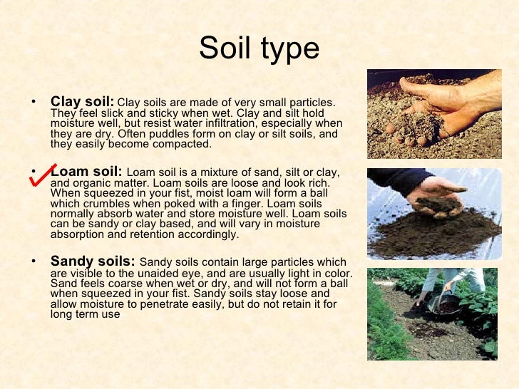 chemical microbial analysis of farm forest soil what is soil made of and how does it form