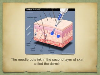 The needle puts ink in the second layer of skin
             called the dermis
 
