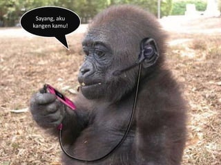 Sayang, aku
kangen kamu!
 