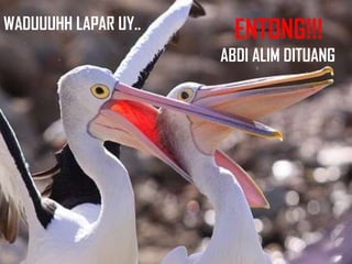 WADUUUHH LAPAR UY..     ENTONG!!!
                      ABDI ALIM DITUANG
 