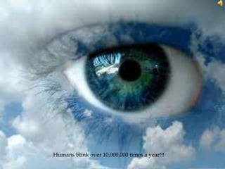 Humans blink over 10,000,000 times a year!!!
 
