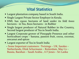 Vital Statistics
 Largest plantation company based in South India.
 Single Largest Private Sector Employer in Kerala.
 HML has 25000 hectares of land under its fold 6000
  hectares - in Tea, 8000 hectares - in Rubber
 Single largest producer of Natural Rubber in the Country,
  Second largest producer of Tea in South India.
 Largest Corporate grower of Pineapple Presence and other
  horticulture crops – banana, passion fruit, cocoa, coconut,
  arecanut and spices
 Largest exporter of Tea in South India
 – Some Important customers : Twinings – UK, Saralee –
  Netherlands, Elink Schurmann – Rotterdam, May Co –
  Russia, Baeshan – Saudi Arabia , A F Jones – Sri Lanka
 