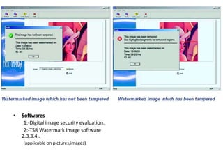 •   Softwares
     1:-Digital image security evaluation.
     2:-TSR Watermark Image software
    2.3.3.4 .
    (applicable on pictures,images)
 