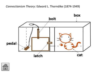 Connectionism Theory: Edward L. Thorndike (1874-1949)
 