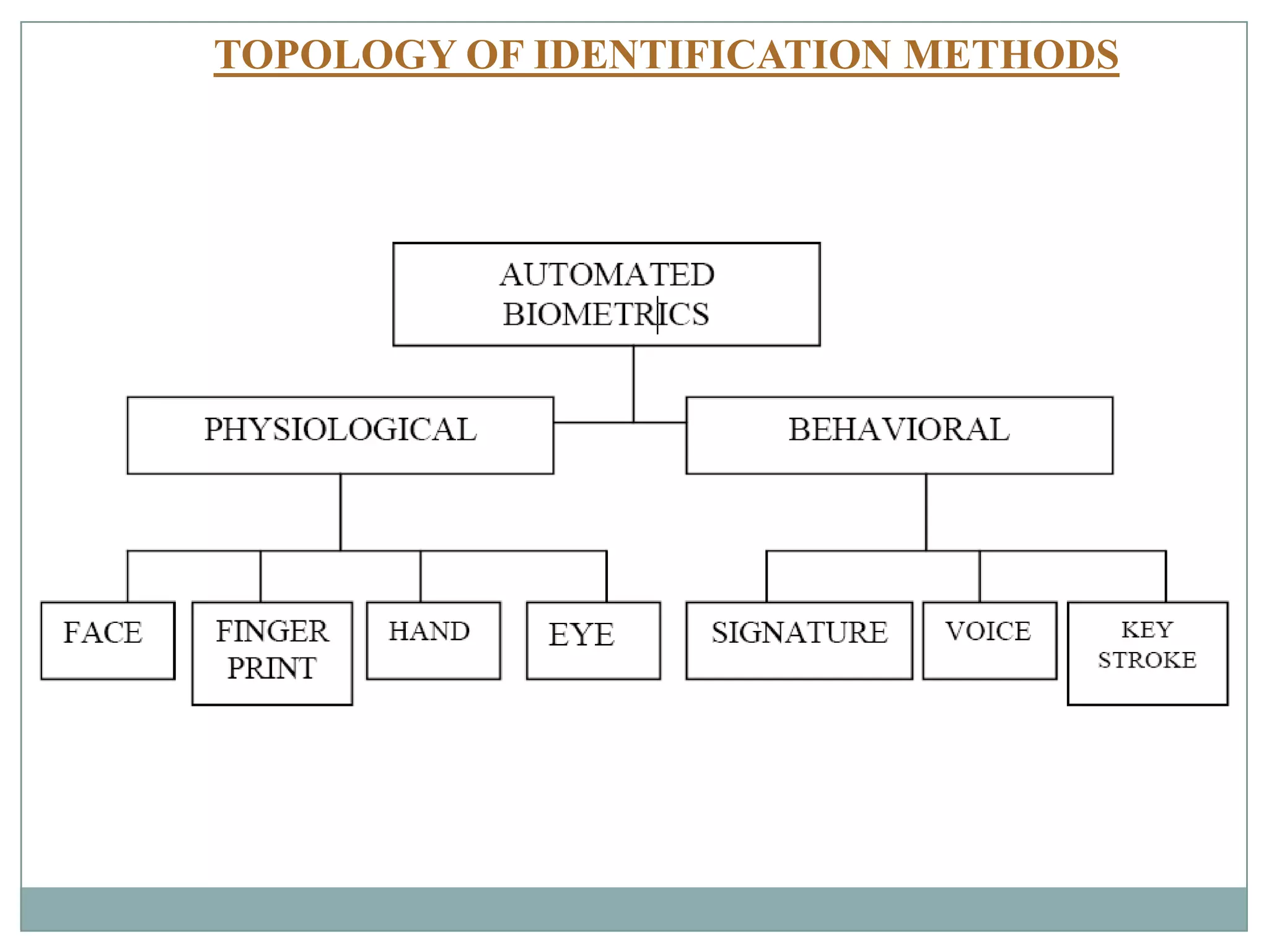 TOPOLOGY OF IDENTIFICATION METHODS
 