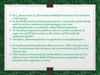  In C3 plants some O2 does bind to RuBisCO and hence CO2 fixation
is decreased.
 So the RuBP instead of being converted to 2 molecules of PGA binds
with O2 to form 1molecule of phosphoglycerate and
phosphoglycolate in a pathway called Photorespiration.
 In the photorespiratory pathway, there is neither synthesis of
sugar nor of ATP but results in the release of CO2 with the
utilization of ATP.
 Therefore, photorespiration is regarded as a wasteful process.
 In C4 plants photorespiration does not occur. This is because they
have a mechanism that increases the concentration of CO2 at the
enzyme site.
 This results in increasing the intracellular concentration of CO2,
which ensures that the RuBisCO functions as carboxylase and
minimize the oxygenase activity.
 