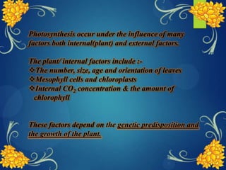 Photosynthesis occur under the influence of many
factors both internal(plant) and external factors.
The plant/ internal factors include :-
The number, size, age and orientation of leaves
Mesophyll cells and chloroplasts
Internal CO2 concentration & the amount of
chlorophyll
These factors depend on the genetic predisposition and
the growth of the plant.
 