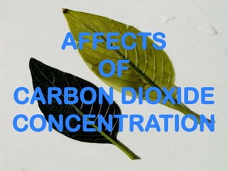 AFFECTS
OF
CARBON DIOXIDE
CONCENTRATION
 