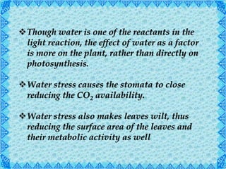 Though water is one of the reactants in the
light reaction, the effect of water as a factor
is more on the plant, rather than directly on
photosynthesis.
Water stress causes the stomata to close
reducing the CO2 availability.
Water stress also makes leaves wilt, thus
reducing the surface area of the leaves and
their metabolic activity as well
 