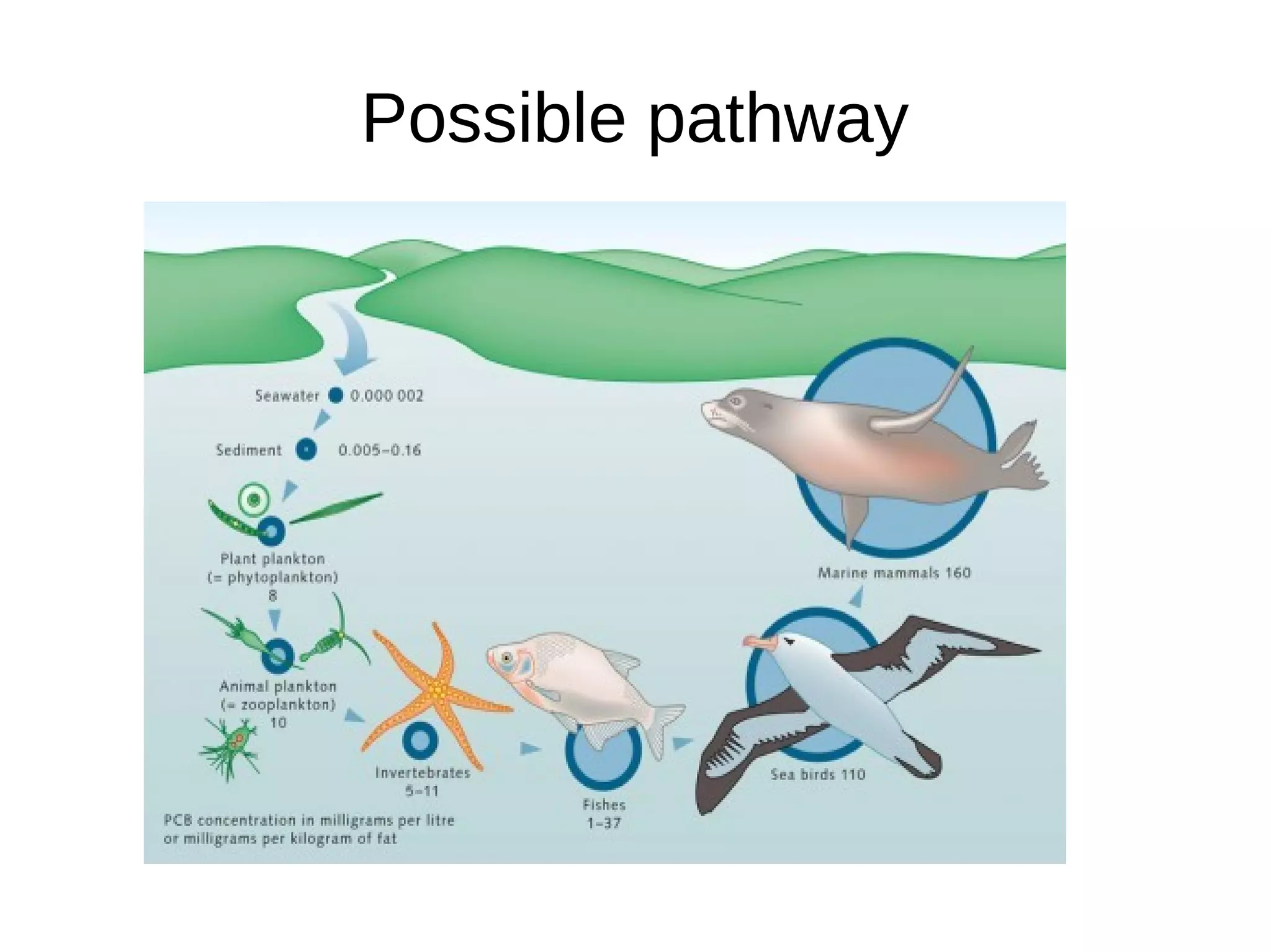 Possible pathway
 