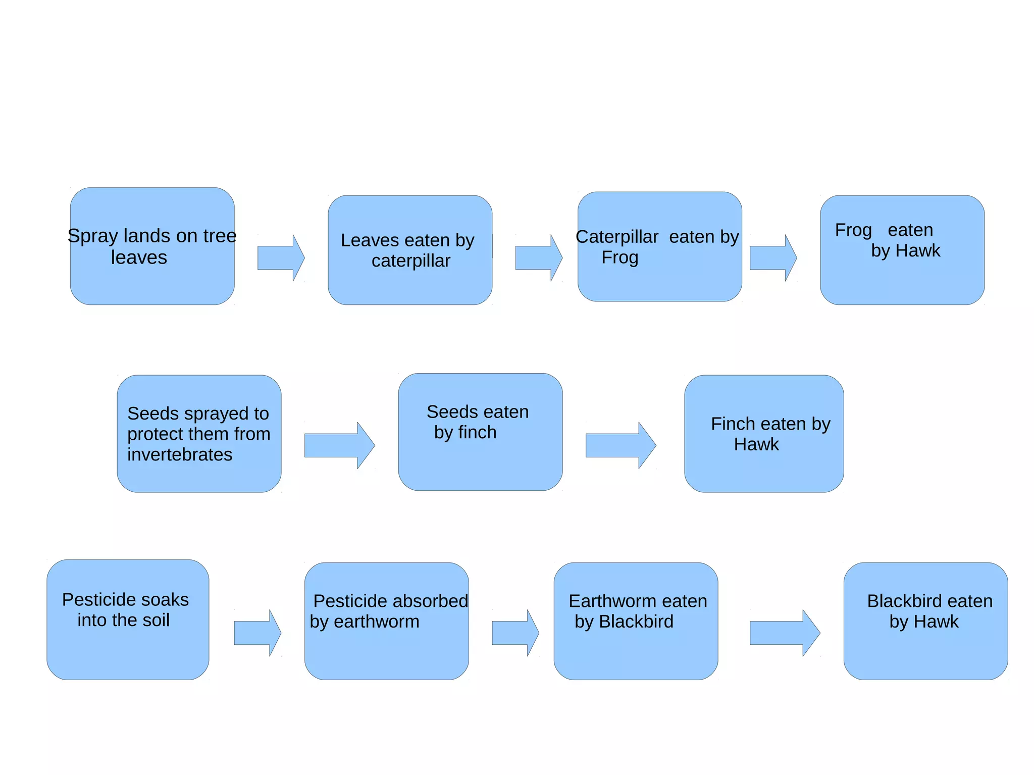 Leaves eaten by
caterpillar
Caterpillar eaten by
Frog
Frog eaten
by Hawk
Seeds sprayed to
protect them from
invertebrates
Seeds eaten
by finch Finch eaten by
Hawk
Pesticide soaks
into the soil
Pesticide absorbed
by earthworm
Earthworm eaten
by Blackbird
Blackbird eaten
by Hawk
Spray lands on tree
leaves
 