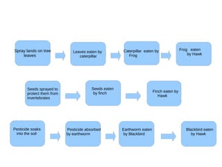 Leaves eaten by
caterpillar
Caterpillar eaten by
Frog
Frog eaten
by Hawk
Seeds sprayed to
protect them from
invertebrates
Seeds eaten
by finch Finch eaten by
Hawk
Pesticide soaks
into the soil
Pesticide absorbed
by earthworm
Earthworm eaten
by Blackbird
Blackbird eaten
by Hawk
Spray lands on tree
leaves
 