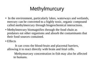 Methylmurcury
● In the environment, particularly lakes, waterways and wetlands,
mercury can be converted to a highly toxic, organic compound
called methylmercury through biogeochemical interactions.
● Methylmercury biomagnifies through the food chain as
predators eat other organisms and absorb the contaminants that
their food sources contained.
● Effects
It can cross the blood-brain and placental barriers,
allowing it to react directly with brain and fetal cells.
Methymurcury concentration in fish may also be affected
to humans.
 