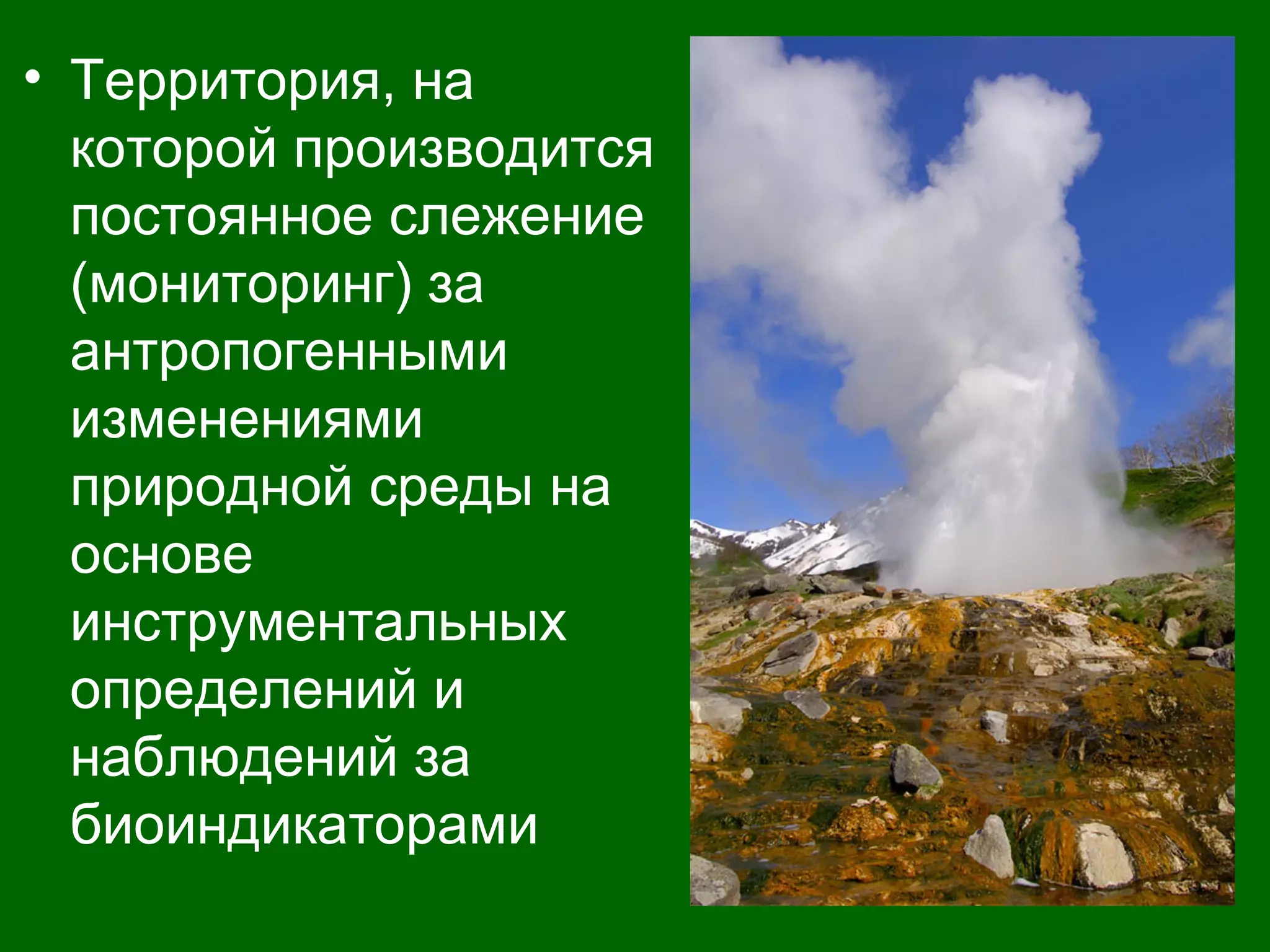 • Территория, на
которой производится
постоянное слежение
(мониторинг) за
антропогенными
изменениями
природной среды на
основе
инструментальных
определений и
наблюдений за
биоиндикаторами
 
