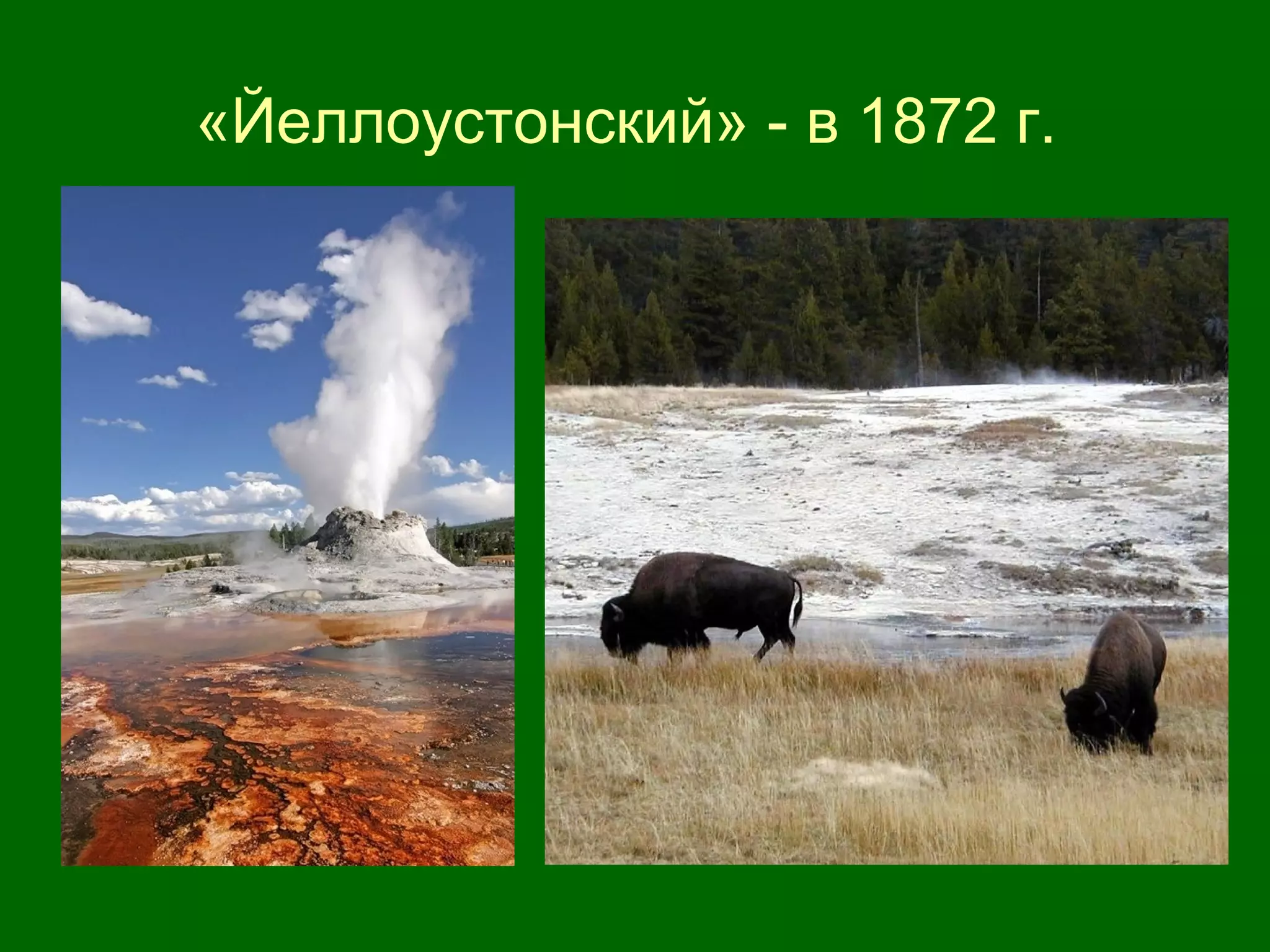 «Йеллоустонский» - в 1872 г.
 